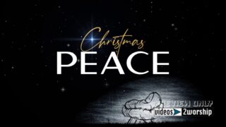Read more about the article Christmas Peace Advent Worship Motion