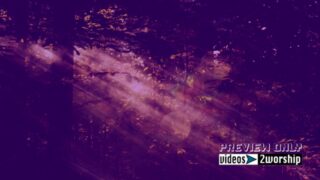 Read more about the article Early Morning. Sunday Resurrection Motion