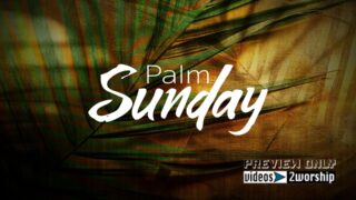 Read more about the article Palm Sunday Branches Title Graphics