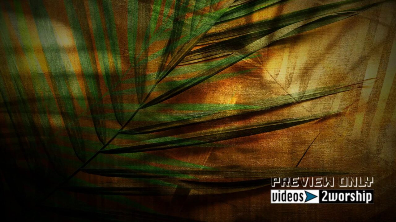 Palm Branches. Christ’s Triumphant Entry