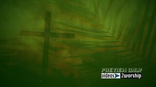 Read more about the article Cross And Palm Branch Church Graphics