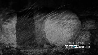 Read more about the article Ground Shaking. Easter Resurrection Motion