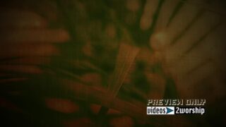 Read more about the article Hosanna In The Highest Palm Sunday Motion