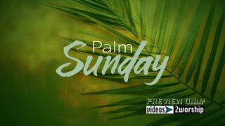 Read more about the article Palm Sunday Title Worship Motion Graphics