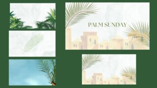 Read more about the article Palm Sunday Slides. 5 Ready To Use Images