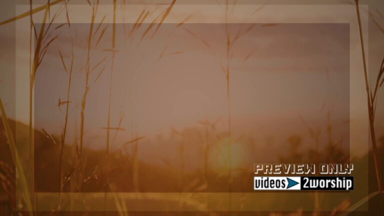 Read more about the article Tall Grass At Sunrise Church Worship Loop