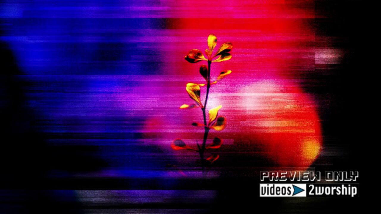 Summer Plants Worship Motion Background