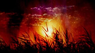 Read more about the article Autumn Sunset Motion Worship Background