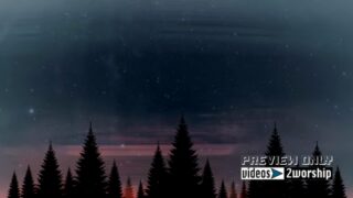 Read more about the article Winter Forest And Falling Snow At Night