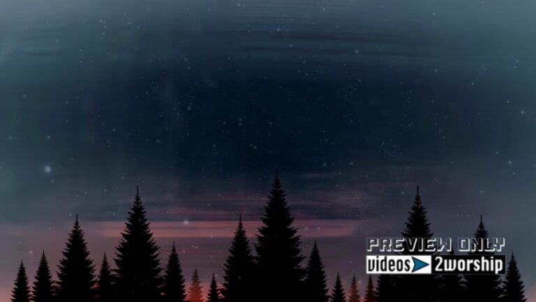 Read more about the article Winter Forest And Falling Snow At Night