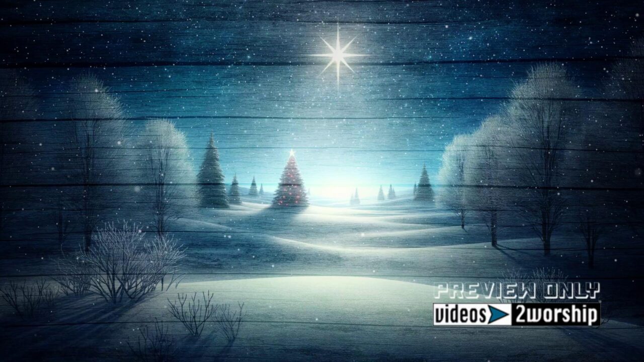 Winter Holidays Outdoors Nature Scene Video