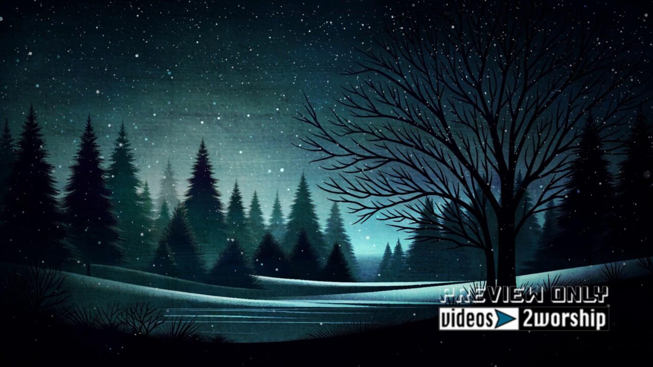 Trees During Winter And Falling Snow Motion