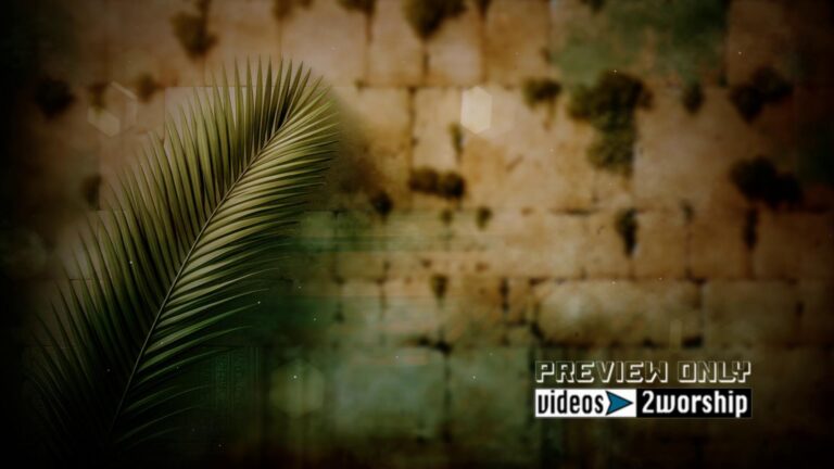 Read more about the article Palm Branch And Stone Wall Motion Loop