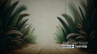 Read more about the article Palm Sunday Road With Green Leaves