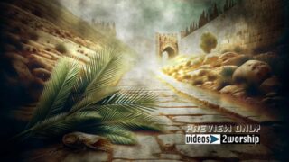 Read more about the article Road To Jerusalem Palm Sunday Video