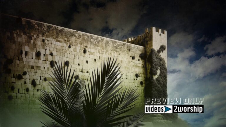 Read more about the article Jerusalem Wall Motion For Palm Sunday