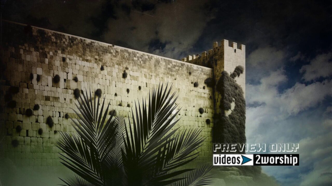 Jerusalem Wall Motion For Palm Sunday