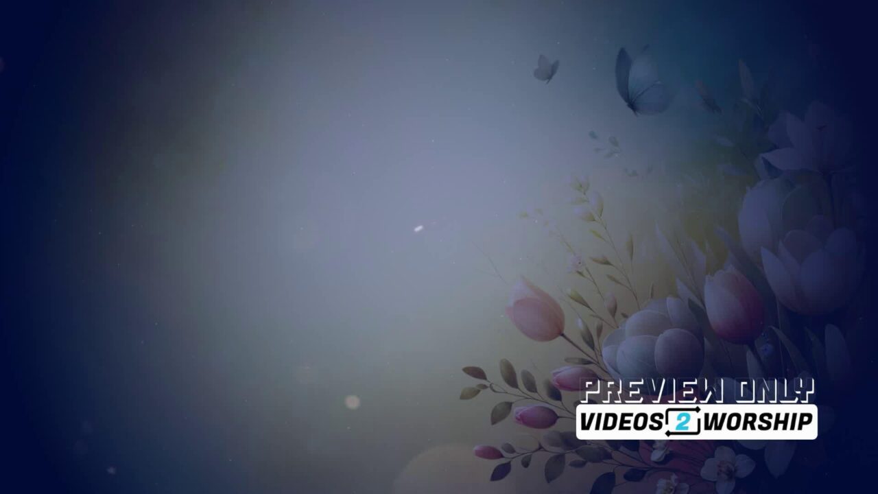 Mothers Day Butterflies And Flowers Video