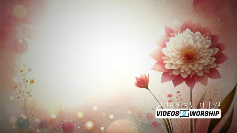 Read more about the article Church Motion Worship Mother’s Day