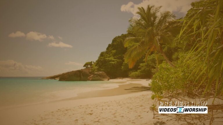 Read more about the article Tropical Island Summer Worship Motion