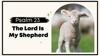 Read more about the article Psalm 23 Reading: Peace In The Shepherd’s Care