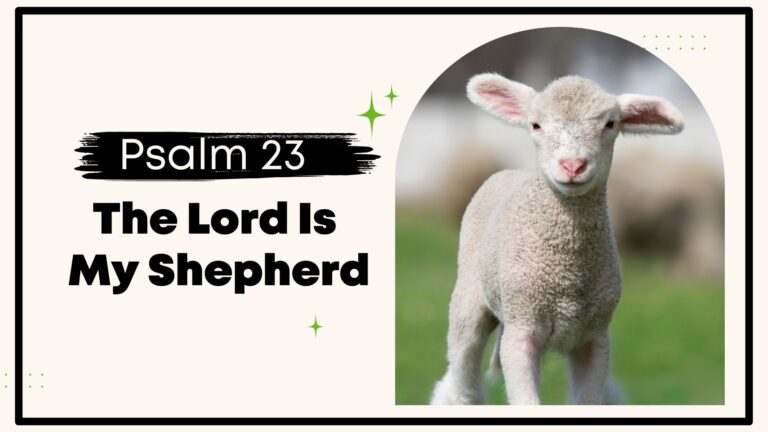 Read more about the article Psalm 23 Reading: Peace In The Shepherd’s Care