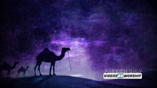 Read more about the article Three Camels Christmas Motion Graphics