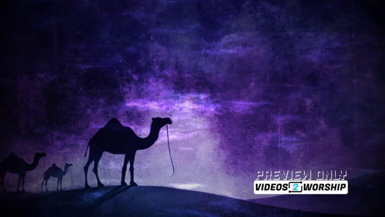 Read more about the article Three Camels Christmas Motion Graphics