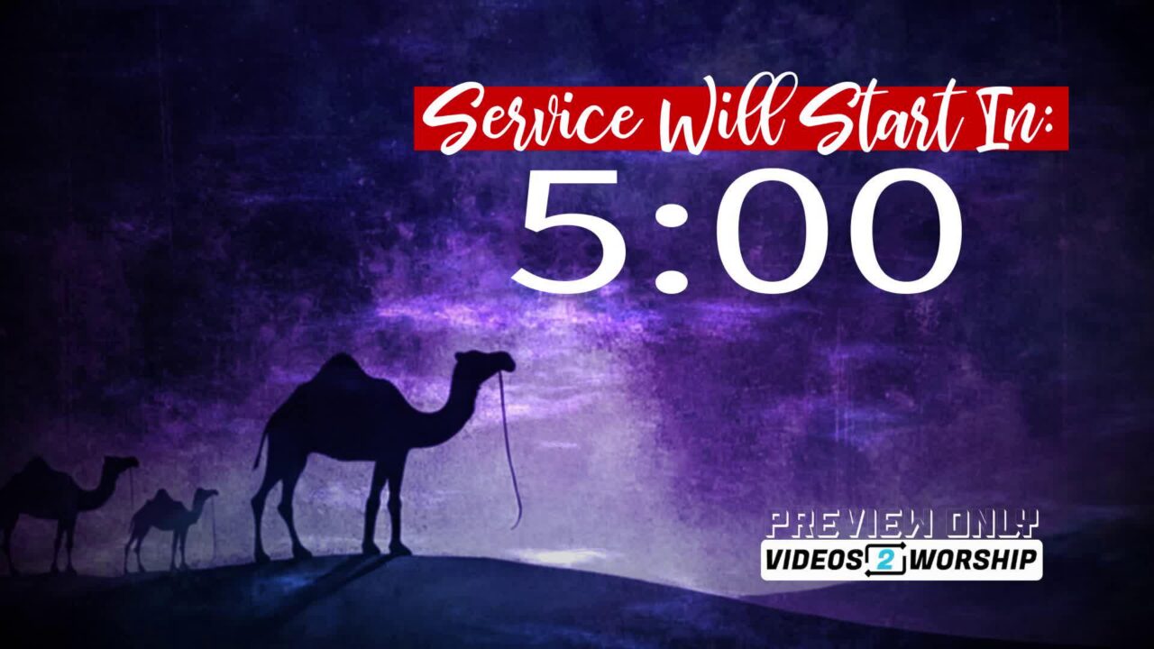 Christmas Five Minutes Countdown Three Camels