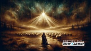 Read more about the article Shepherd Sheep Star Christmas Night Still