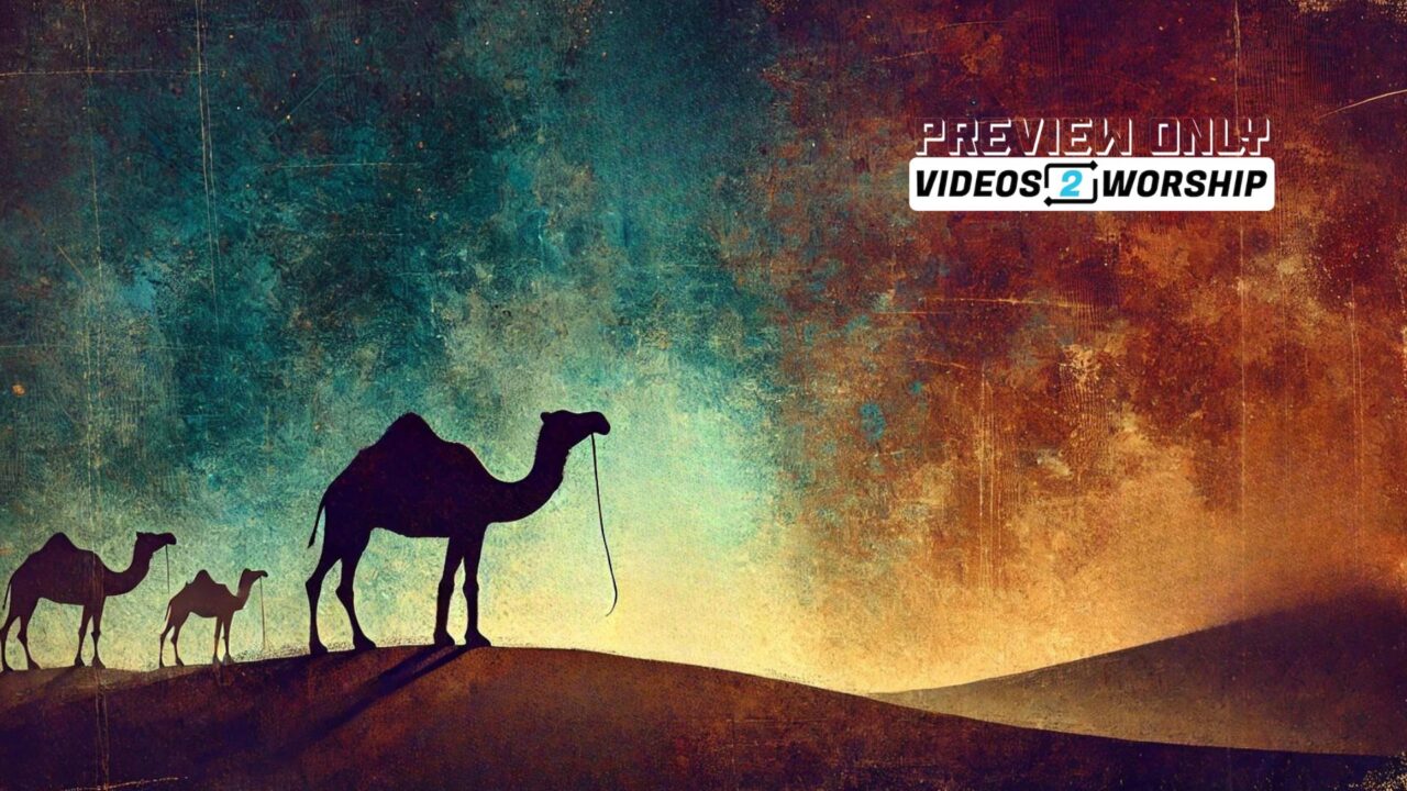 Three Christmas Camels Still Worship Graphics