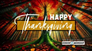 Read more about the article Happy Thanksgiving Title Motion Majestic Forest