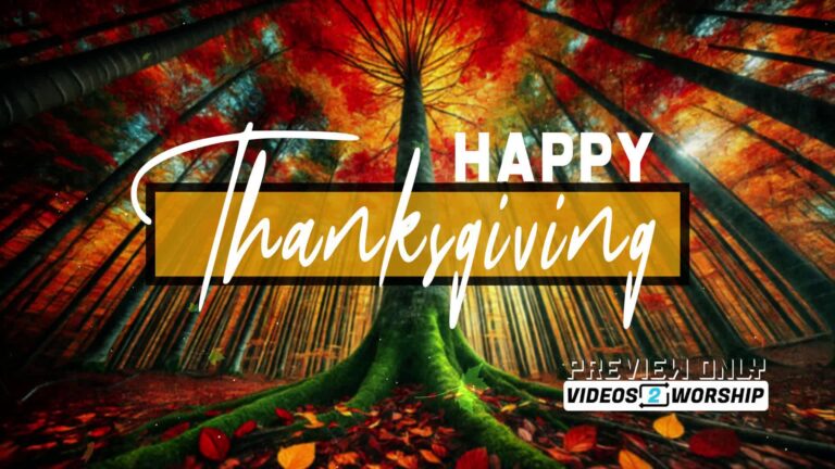 Read more about the article Happy Thanksgiving Title Motion Majestic Forest