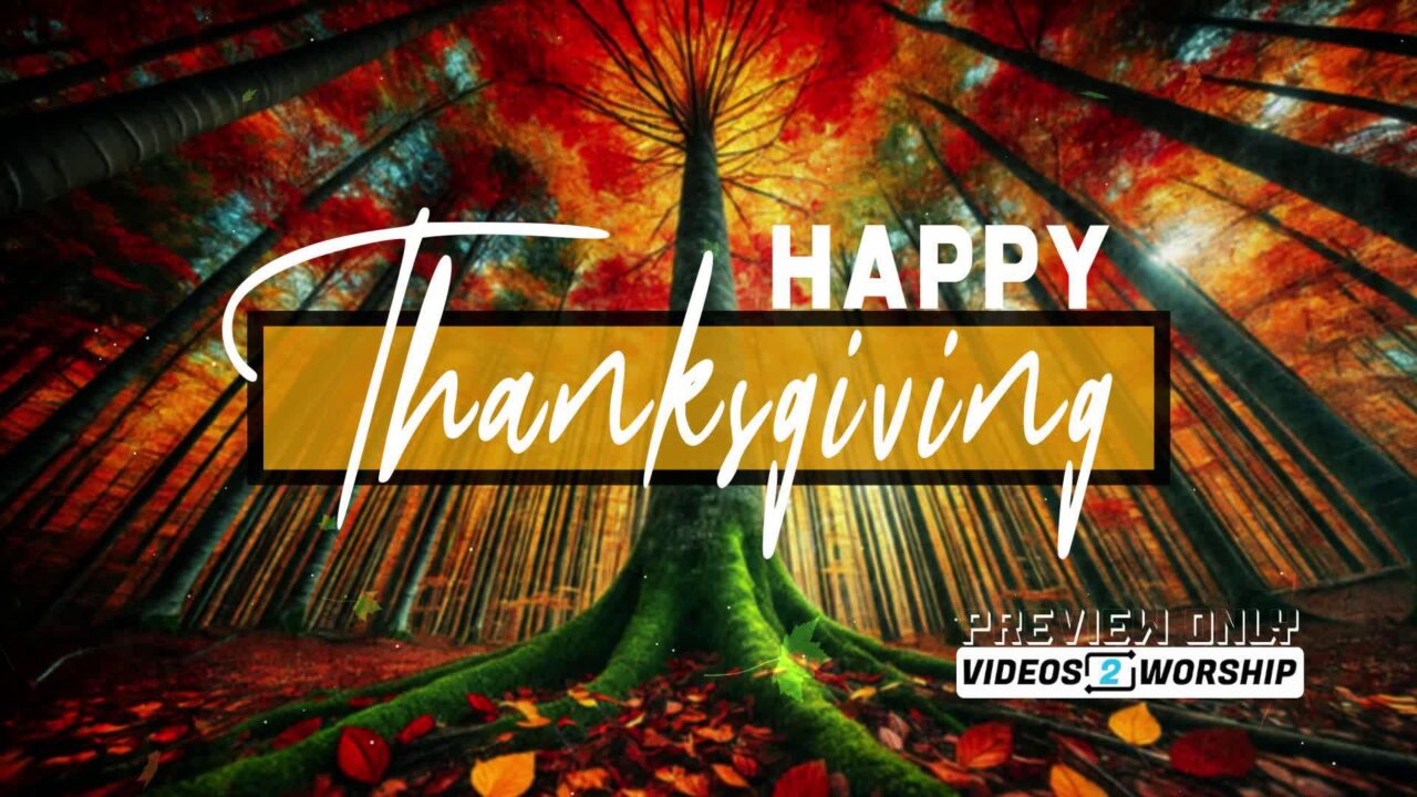 Happy Thanksgiving Title Motion Majestic Forest