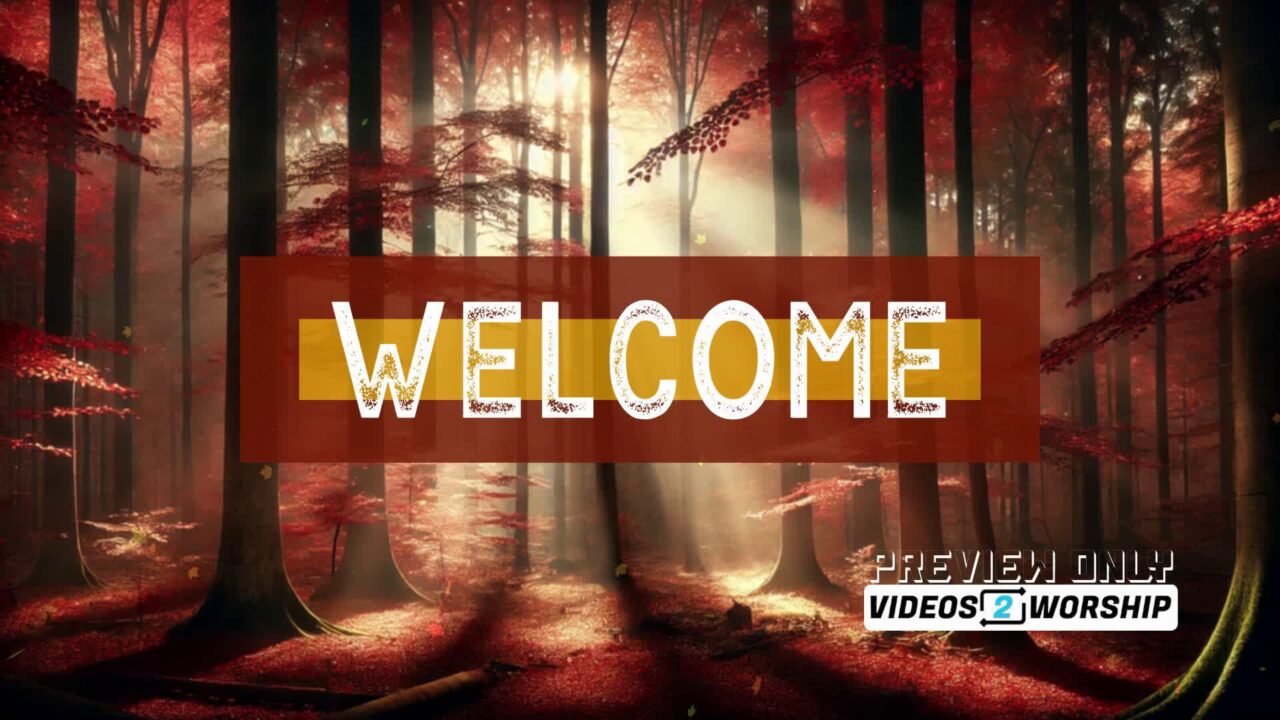Autumn Colorful Fall Forest Welcome Motion