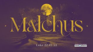 Read more about the article Malchus and the Mercy of Jesus: When Grace Interrupts the Arrest