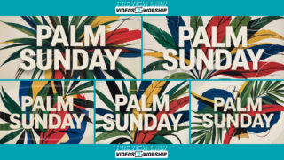 Read more about the article Palm Sunday Colorful Leaves Worship | 5 Slide Set