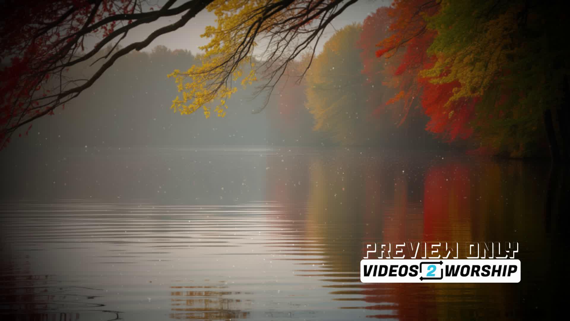 Colorful Fall Leave Over Lake Motion Video