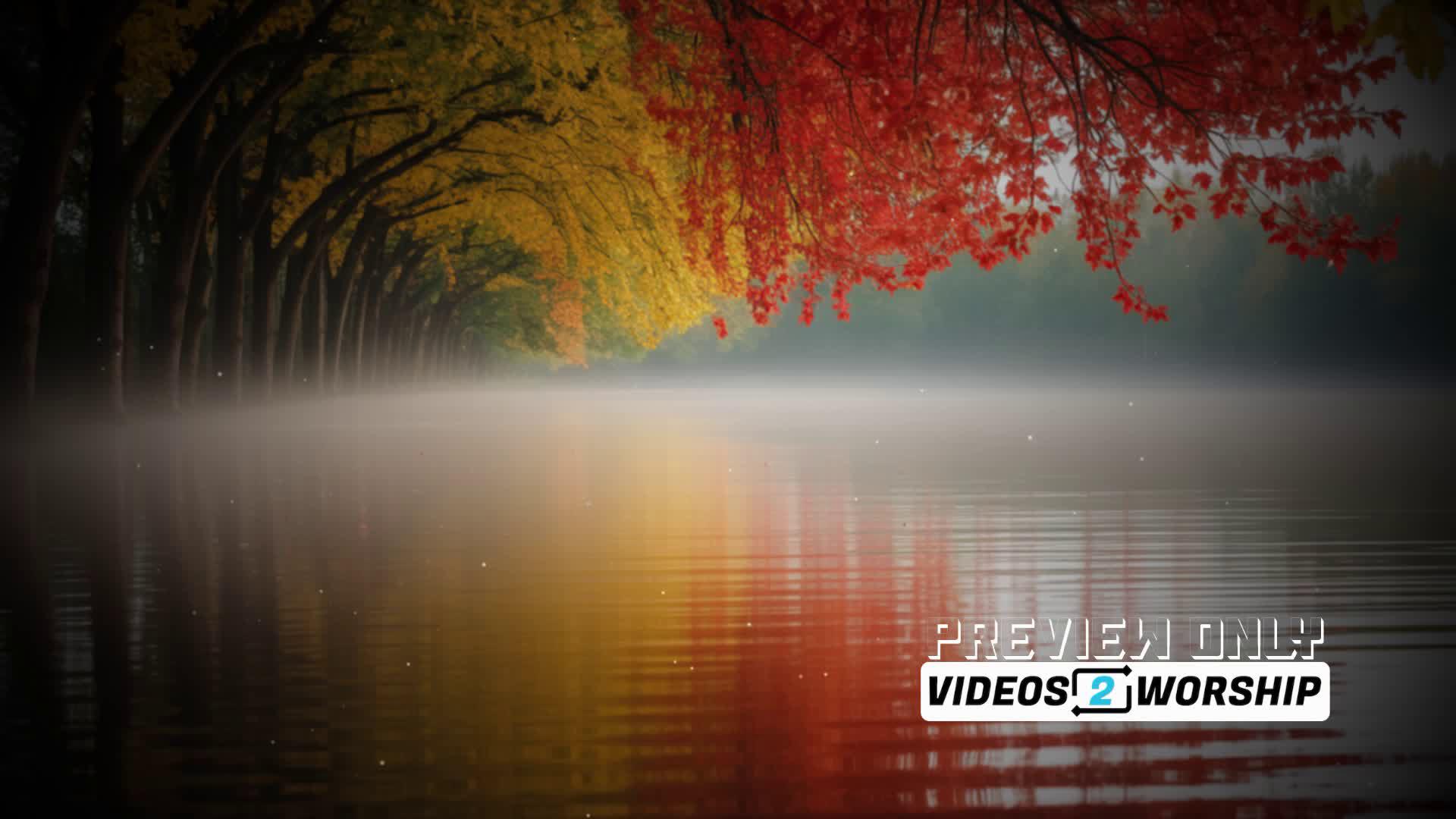 Colorful Fall Seamless Motion Background Video