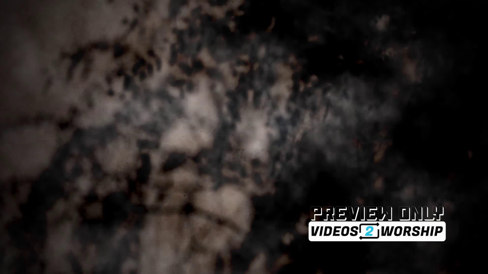 Grungy Textured Fall Leaves And Branches Loop