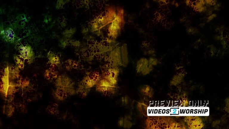 Read more about the article Grunge Leaf Autumn Motion Worship Video Loop